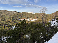 Sola_20240112_65a15250ee5fb.jpg