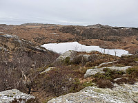 Sola_20240205_65c0cb771fbaa.jpg