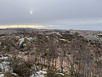 Sola_20240205_65c0cb79e2848.jpg