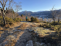 Sola_20240310_65ed7af13137e.jpg