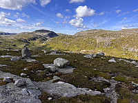 Sola_20240709_668d30ca29a12.jpg