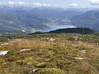 Sola_20240804_66af2c3ec4c4d.jpg