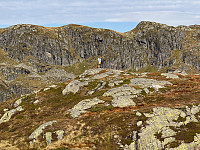 Sola_20240917_66e97ed94f167.jpg