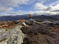 Sola_20241014_670d0c3765de2.jpg