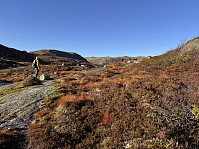 Sola_20241104_6728d22cf35c5.jpg