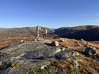 Sola_20241104_6728d23037ce8.jpg
