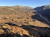 Sola_20241104_6728d23742e1f.jpg