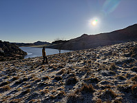 Sola_20241122_67408fafcb810.jpg