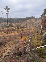 Sola_20250119_678d015f491ed.jpg