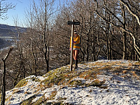 Sola_20250201_679e14fe72aac.jpg