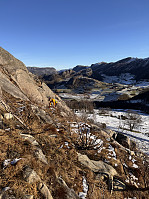 Sola_20250201_679e173cb5522.jpg