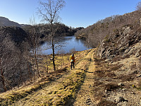 Sola_20250228_67c1bee28bb4d.jpg