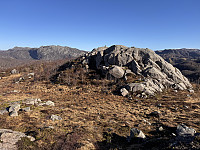 Sola_20250228_67c1beea0a577.jpg