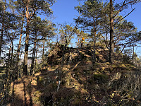 Sola_20250228_67c1bfeb4606d.jpg