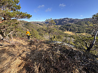 Sola_20250228_67c1bfef54c6e.jpg