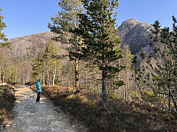 Sola_20250323_67e000e5b524e.jpg
