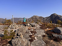 Sola_20250323_67e000e7c9e95.jpg