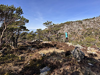 Sola_20250403_67ee302942abc.jpg
