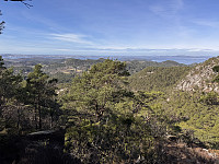 Sola_20250403_67ee302b26d85.jpg