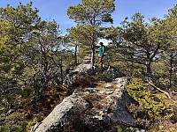 Sola_20250403_67ee302f7419c.jpg