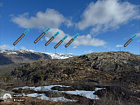 Sola_20250411_67f8cee70bd89.jpg
