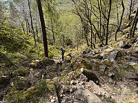 Sola_20250506_6819b70acb1c0.jpg