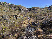 Sola_20250511_68204bf5ef53b.jpg