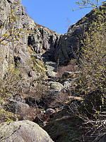 Sola_20250511_68204bf9ce9a9.jpg