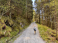 Sola_20250511_68204d7ea68db.jpg
