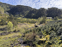 Sola_20250511_68204d82297d3.jpg