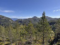 Sola_20250511_68204d8bd359e.jpg