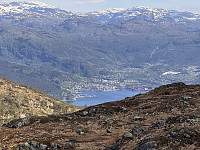 Sola_20250512_6821e99951527.jpg