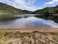 Sola_20250521_682dd7d5d40ff.jpg