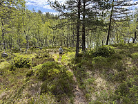 Sola_20250521_682dd7d7b11ba.jpg