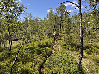 Sola_20250521_682dd7e474a43.jpg
