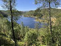 Sola_20250521_682dd7e69ead8.jpg