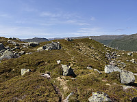 Sola_20250531_683b32394ebb6.jpg