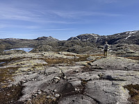 Sola_20250615_684ec90bce3bd.jpg