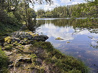 Sola_20250627_685ea6acb575a.jpg