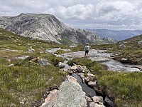 Sola_20250702_6865609c74985.jpg