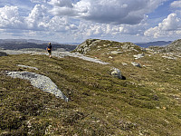 Sola_20250720_687c9e1d92ef2.jpg