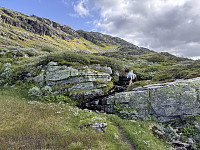 Sola_20250727_68866a3b89b94.jpg