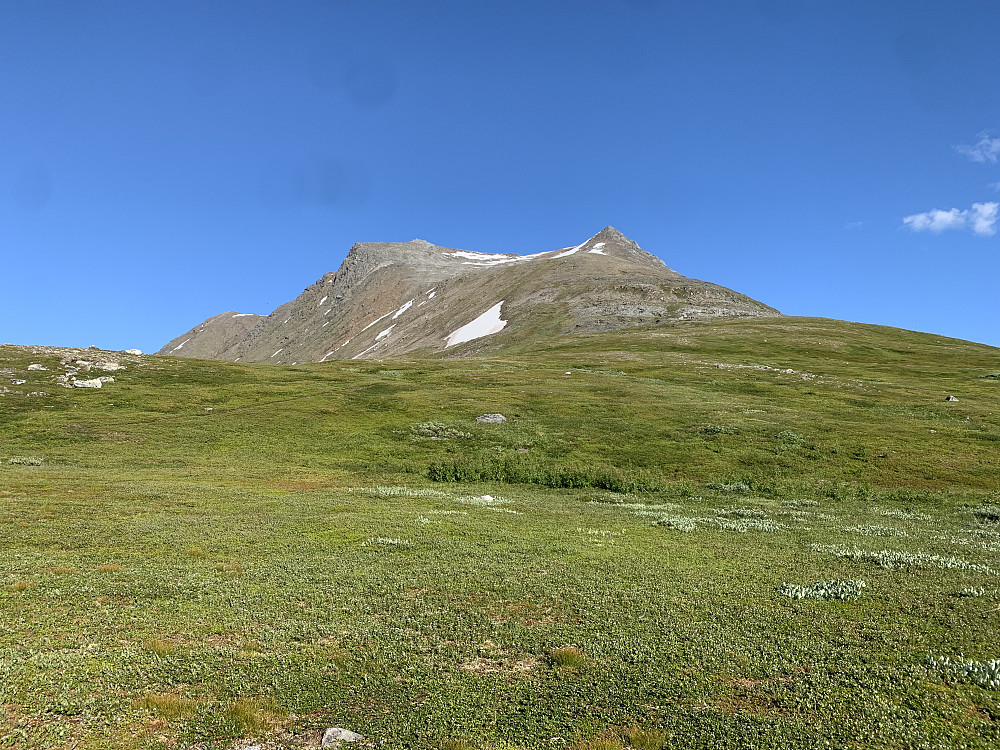 Bentsjordtinden