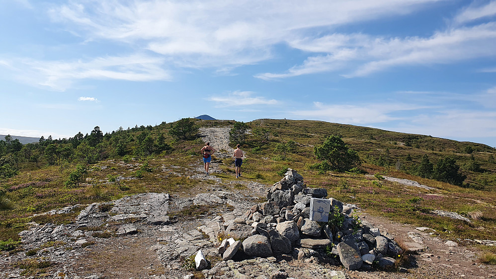 Innover mot fortoppen