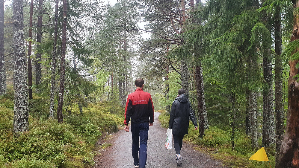 På tur ned