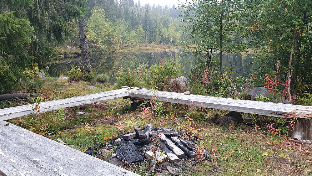 Fin plass ved Torvmyra