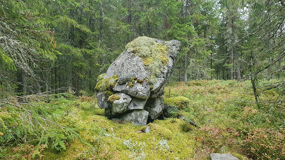 Steinblokkene på Torvmyra punkt 543
