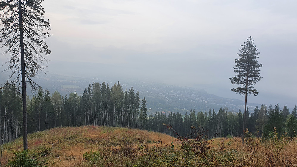 På hogstfeltstien opp til Balbergkampen. Ikke all verdens utsikt ned til Lillehammer i dag. 