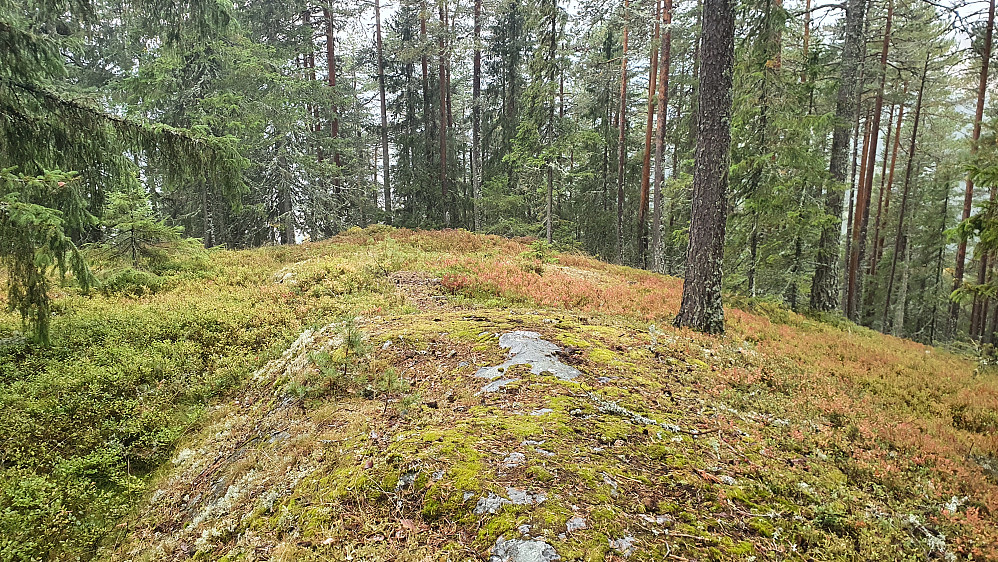 Rundhaugen 
