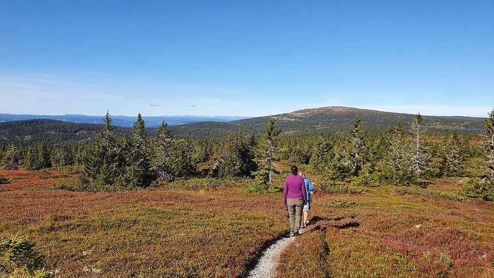 Nevelfjell i horisonten